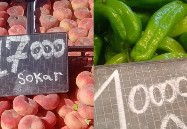 Baisses des prix des fruits et légumes : L’APOCE dévoile de nouveaux tarifs