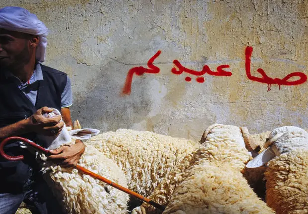 Le ministère des Affaires religieuses annonce la date officielle de l’Aïd El-Adha 2023 en Algérie