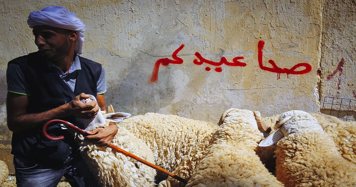 Le ministère des Affaires religieuses annonce la date officielle de l’Aïd El-Adha 2023 en Algérie