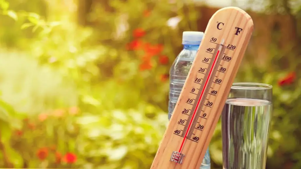 Prévisions Météo Algérie : la canicule persistera encore ce lundi 19 juin