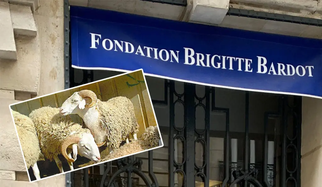 En France, la Fondation Brigitte Bardot dénonce les sacrifices de l&rsquo;Aïd al-Adha