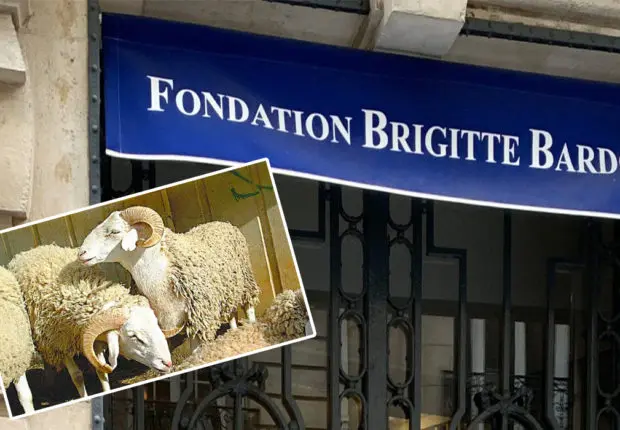 En France, la Fondation Brigitte Bardot dénonce les sacrifices de l’Aïd al-Adha