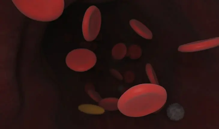 L’immunothérapie et la thérapie ciblée dans le traitement du cancer (Centre Médical Anadolu).