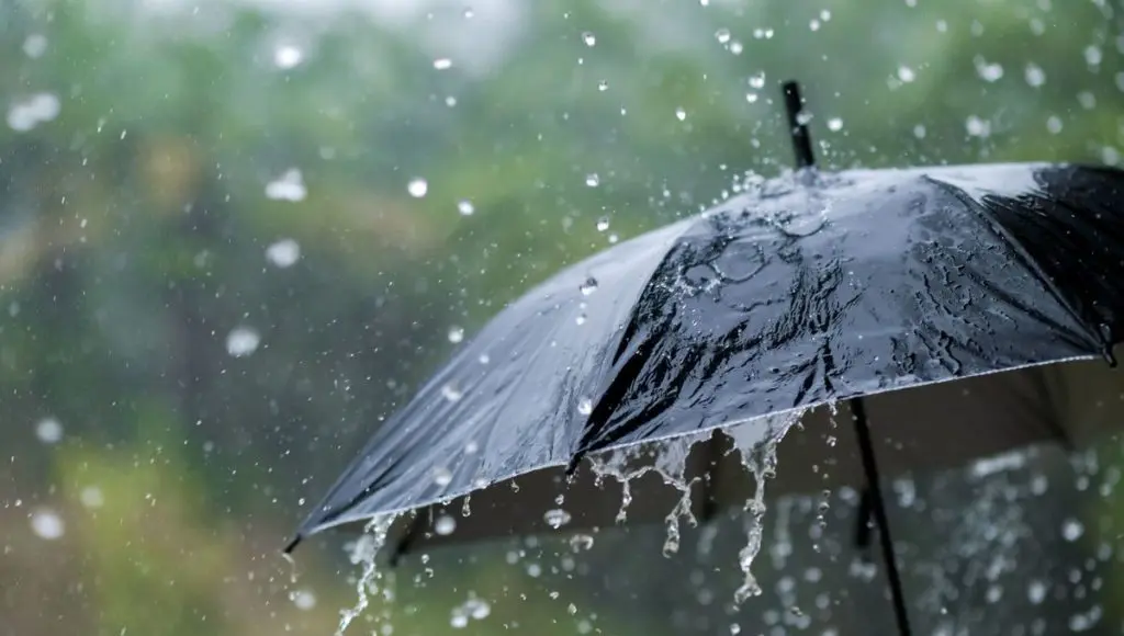 BMS – Météo Algérie : alerte orange pluie orageuse sur 17 wilayas ces 11 et 12 janvier