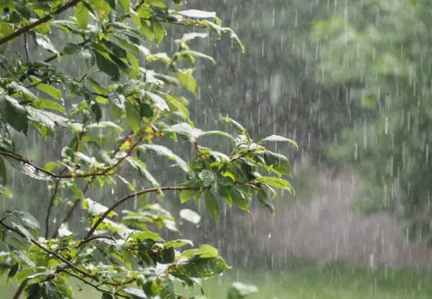 Bulletin Météo Algérie pour ce 8 juin : pluies éparses et ciel nuageux, que disent les prévisions ?