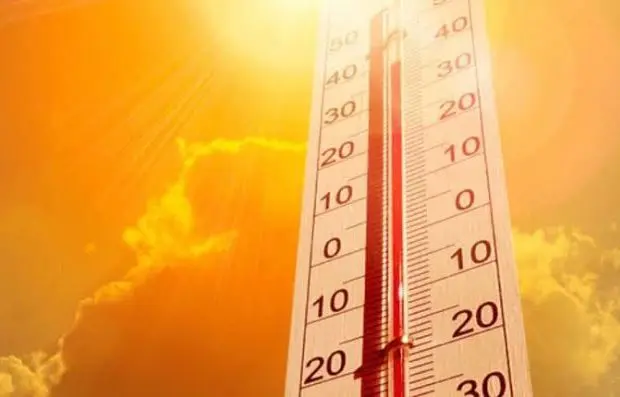 Chaleur extrême en Algérie, quelles sont les wilayas concernées ?