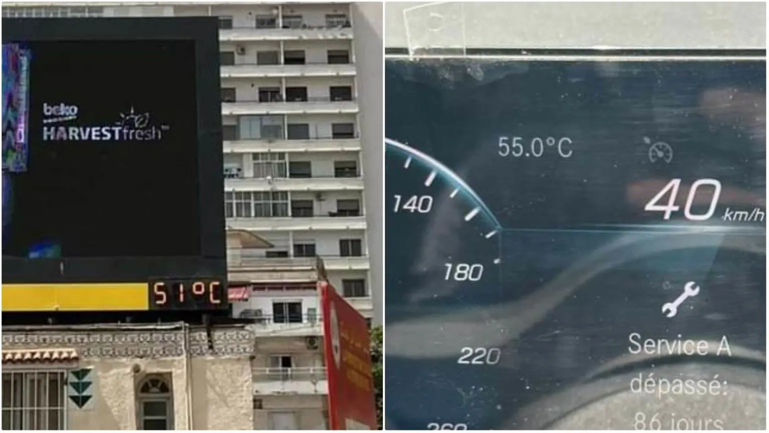 CANICULE : 55° à Ben Aknoun, 51° à Telemly… Températures records à Alger ce 10 juillet