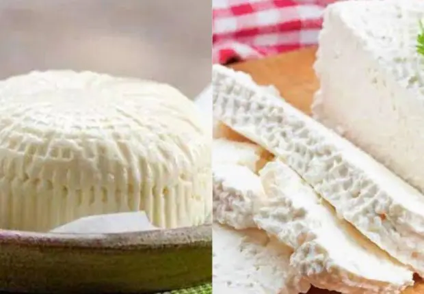 Une spécialité algérienne classée parmi les meilleurs fromages de chèvre au monde