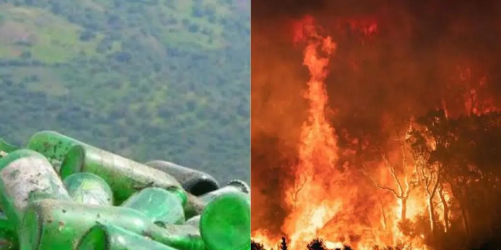 Ces gestes d’incivisme au service de la propagation massive des feux de forêts (vidéo)