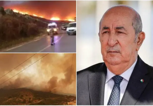 Civils et militaires décédés lors des feux de forêts : condoléances de Tebboune