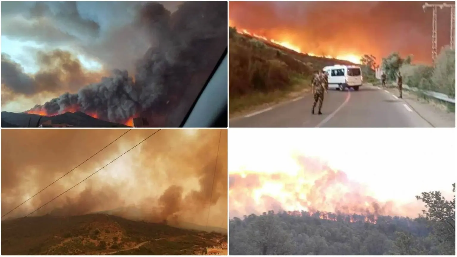 Feux de forêts Algérie : des incendies embrasent plusieurs wilayas ce 24 juillet