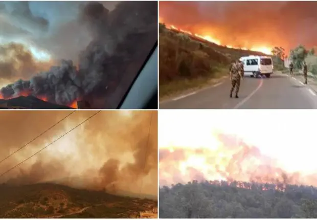 Feux de forêts Algérie : des incendies embrasent plusieurs wilayas ce 24 juillet