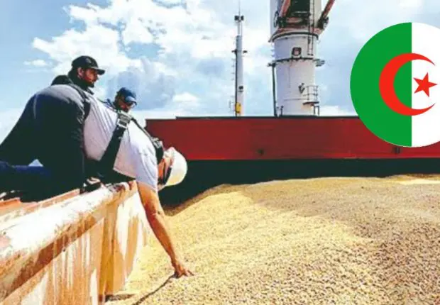 Fin de l’accord céréalier entre la Russie et l’Ukraine : quel impact sur l’Algérie ?