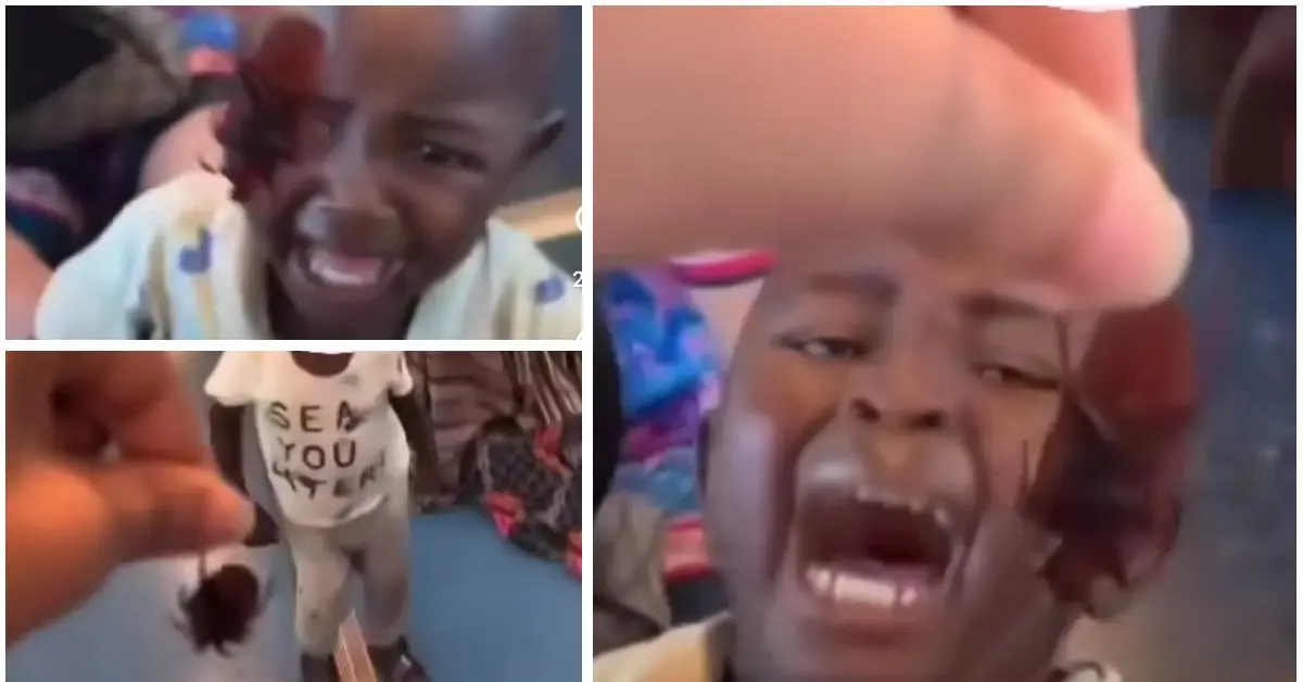 Un passager du Tramway traumatise des enfants subsahariens avec des cafards morts (vidéo)