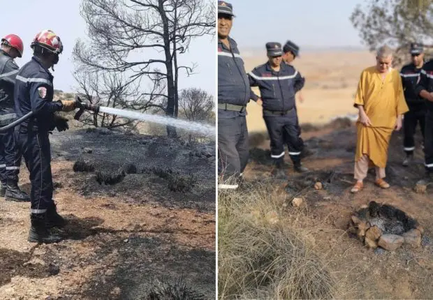 Un barbecue tourne mal à Saïda, le feu ravage une partie de la forêt (Photos)