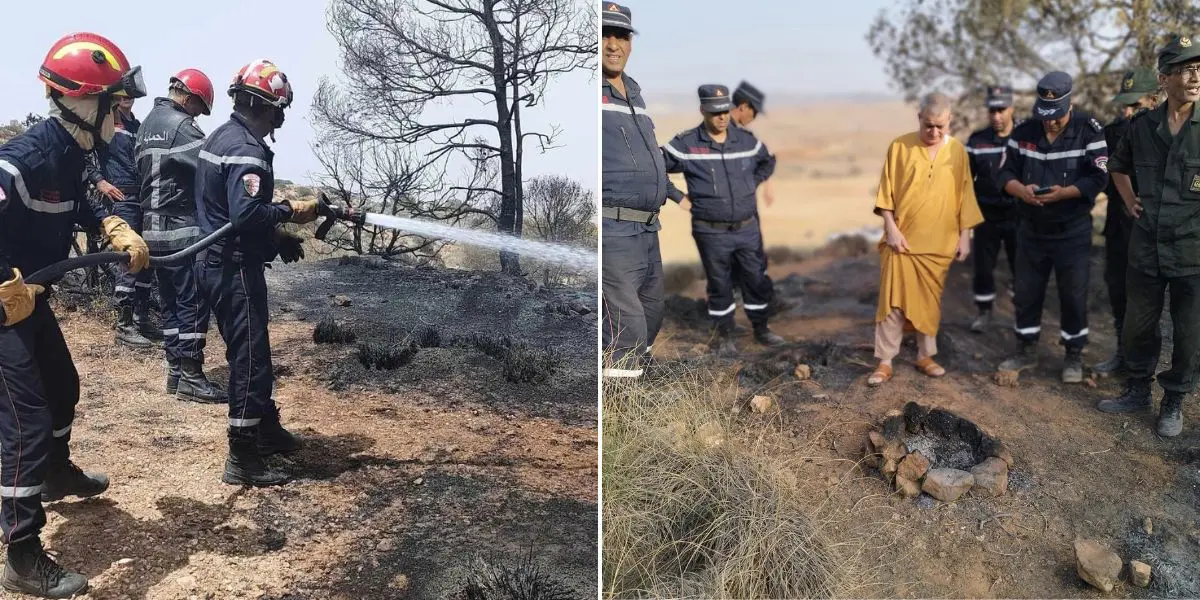 Un barbecue tourne mal à Saïda, le feu ravage une partie de la forêt (Photos)