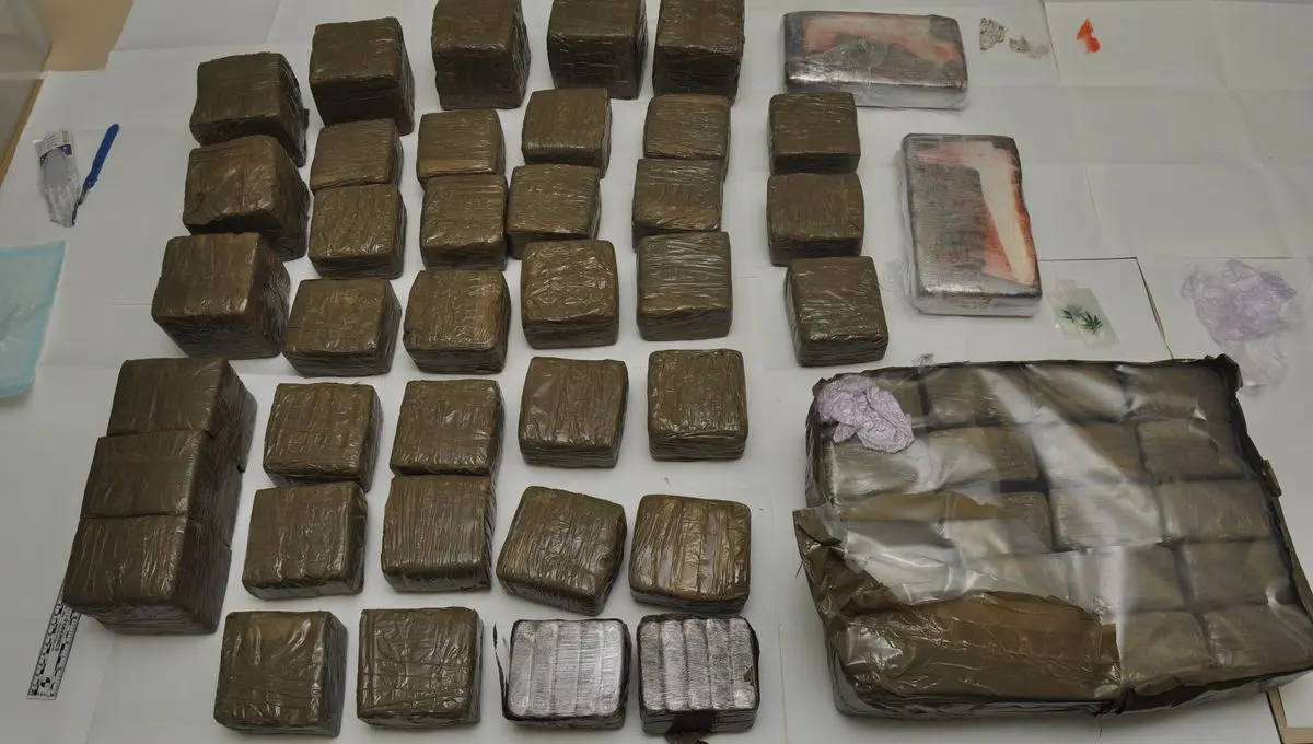 19 trafiquants de drogue arrêtés par les éléments de l’armée nationale