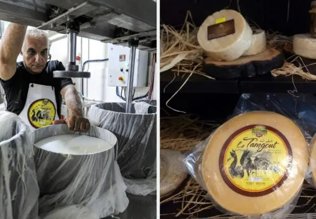 Fabriqué en Kabylie, un fromage spécial à la mode suisse continue de faire parler de lui