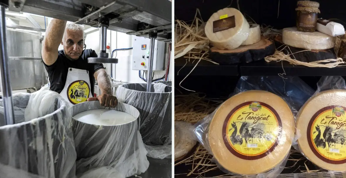 Fabriqué en Kabylie, un fromage spécial à la mode suisse continue de faire parler de lui