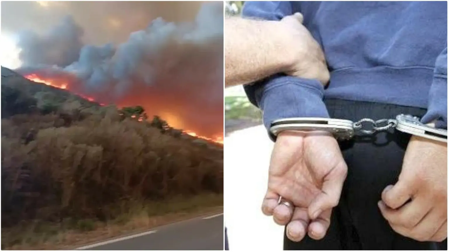 Feux de forêts : arrestation de 14 individus à Béjaia et 2 autres à Bouira