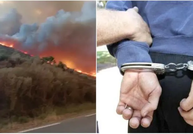 Feux de forêts : arrestation de 14 individus à Béjaia et 2 autres à Bouira