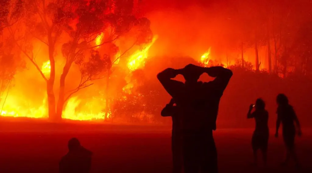 LOURD BILAN des incendies en Algérie : 15 MORTS d’après l’Intérieur ce 24 juillet