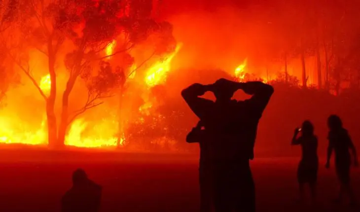 Feux de forêt en Algérie.