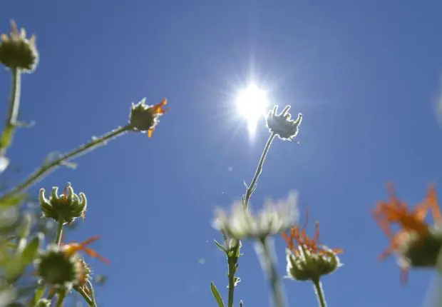 Prévisions météo en Algérie pour ce dimanche 9 juillet : que nous réserve le temps aujourd’hui ?
