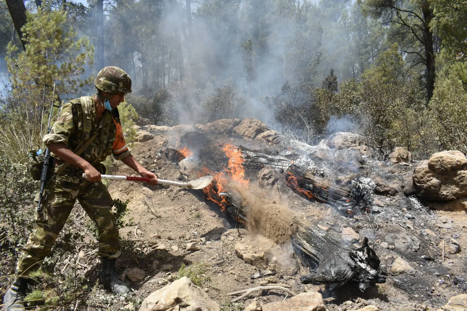 INCENDIES en Algérie : décès de 10 militaires et 25 autres blessés à Béjaia (ANP)