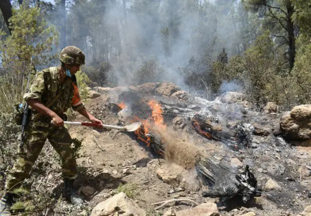 INCENDIES en Algérie : décès de 10 militaires et 25 autres blessés à Béjaia (ANP)
