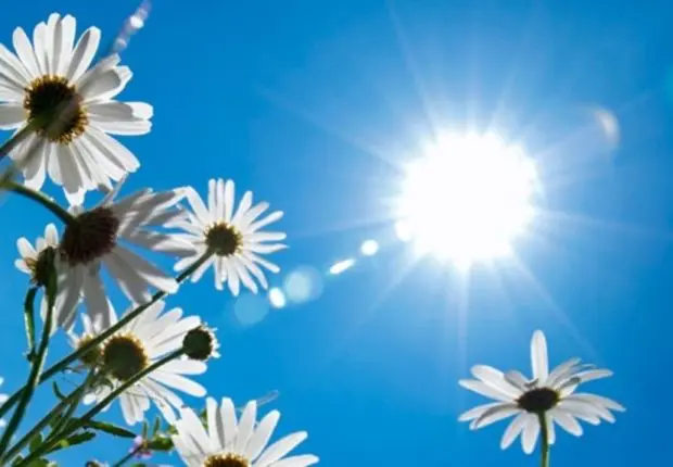 Météo Algérie : quelles sont les prévisions pour ce jeudi 13 juillet ?