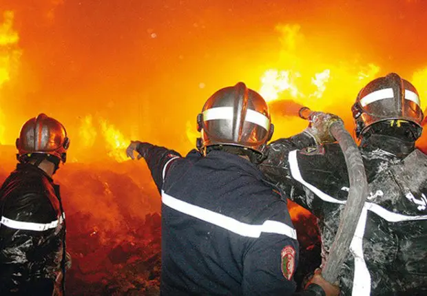 INCENDIES en Algérie : la DGPC fait le point sur les feux toujours en cours