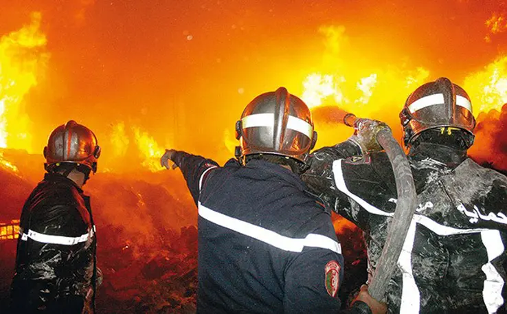 INCENDIES en Algérie : la DGPC fait le point sur les feux toujours en cours