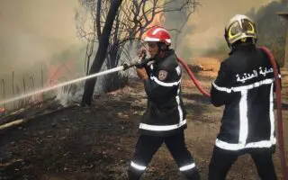 Incendies meurtriers : le ministère de l’Intérieur dévoile le bilan officiel des victimes