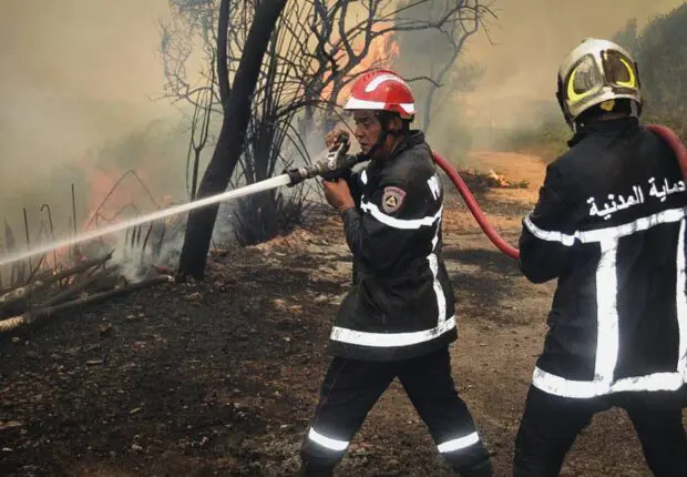 Algérie : Appel à la vigilance face aux risques accrus d’incendies en période de forte chaleur