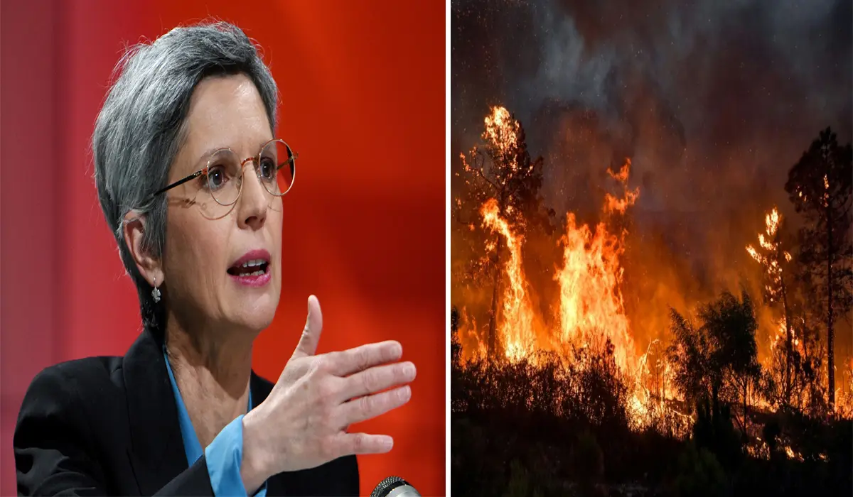 Incendies en Algérie : la députée française Sandrine Rousseau déclenche une nouvelle polémique