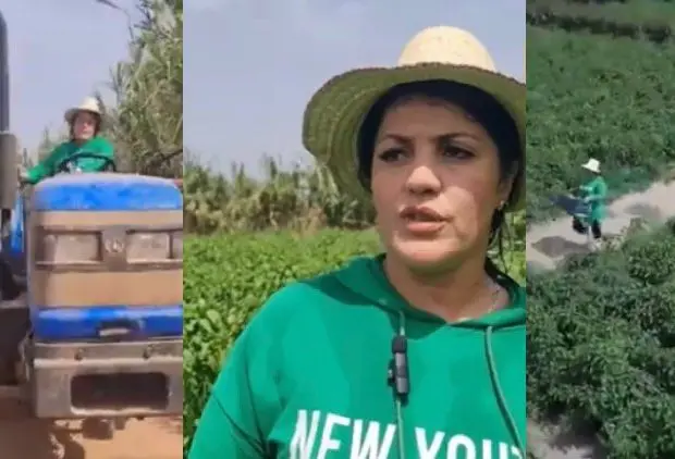 Au four et au moulin, Rabia reprend la terre de son père et cultive sa passion pour l’agriculture