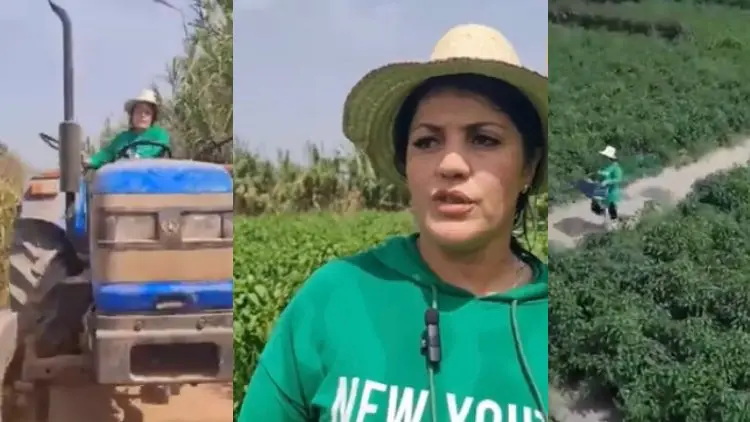 Au four et au moulin, Rabia reprend la terre de son père et cultive sa passion pour l’agriculture