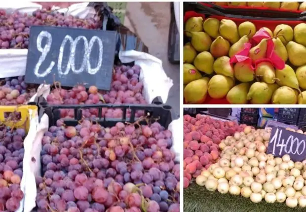 Entre prix élevé et offre limitée, le marché des fruits en pleine crise en Algérie
