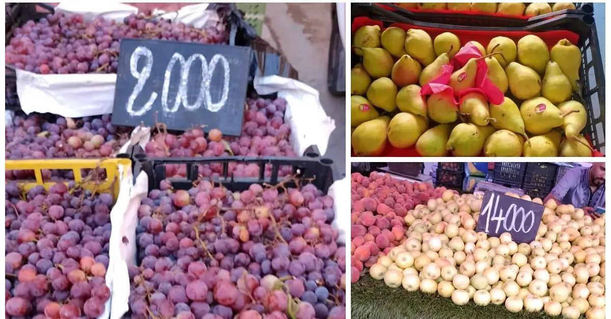 Entre prix élevé et offre limitée, le marché des fruits en pleine crise en Algérie