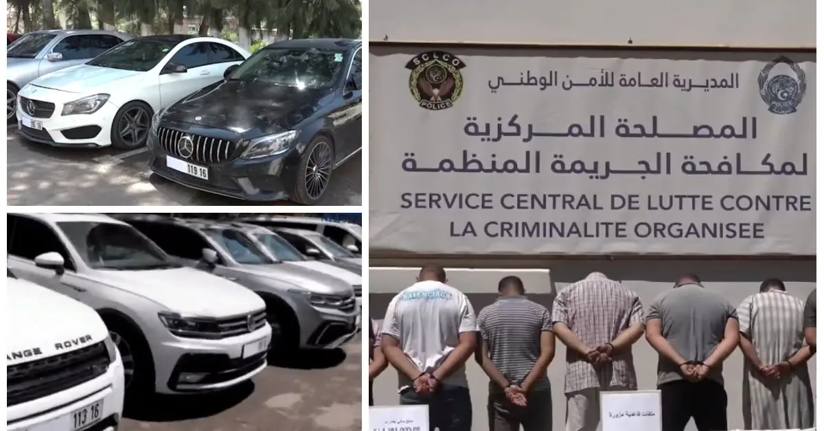Recherchées par Interpol, plusieurs voitures de luxe saisies lors du démantèlement d’un réseau