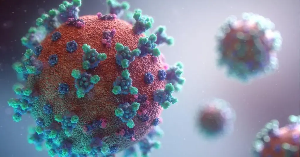 Variant Éris : symptômes, transmissibilité, un expert en microbiologie répond aux questions