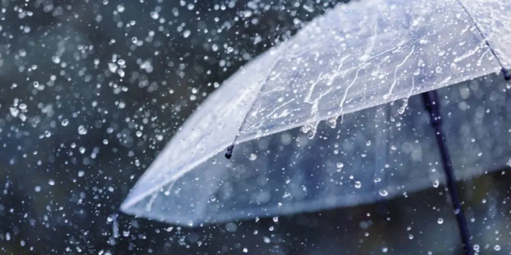 Alerte météo en Algérie : averses prévues dans certaines régions