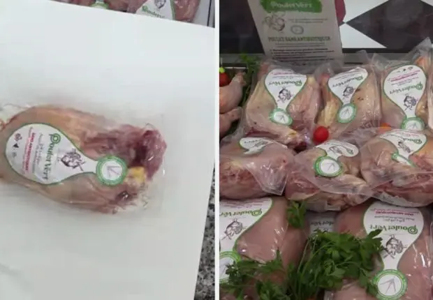 Le poulet vert, une nouvelle initiative de l’APOCE pour une alimentation plus saine