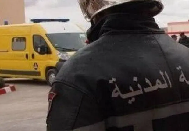 Incendies en Algérie : plusieurs forêts embrasées par les feux