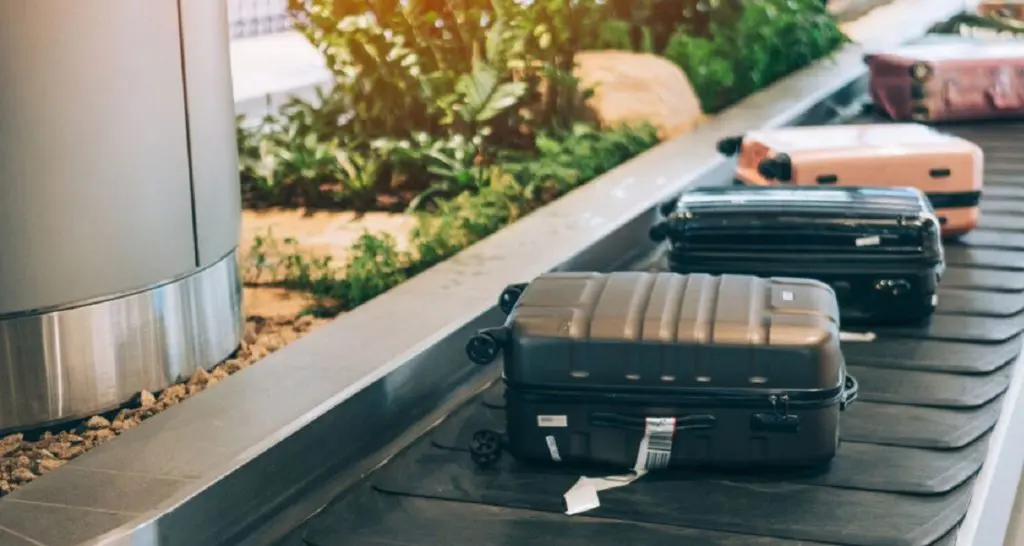 Air Algérie adopte une nouvelle franchise pour les bagages en soute