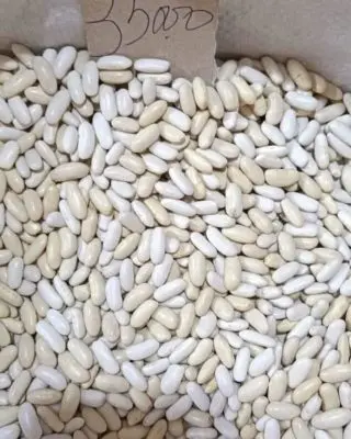 Haricots blancs en vrac