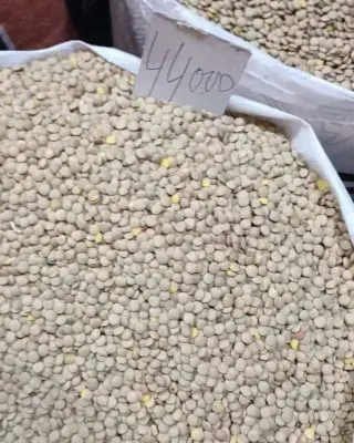 Lentilles en vrac