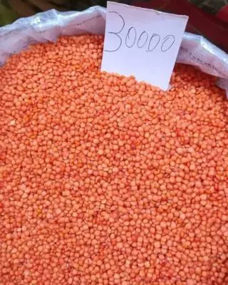 Lentilles rouges en vrac