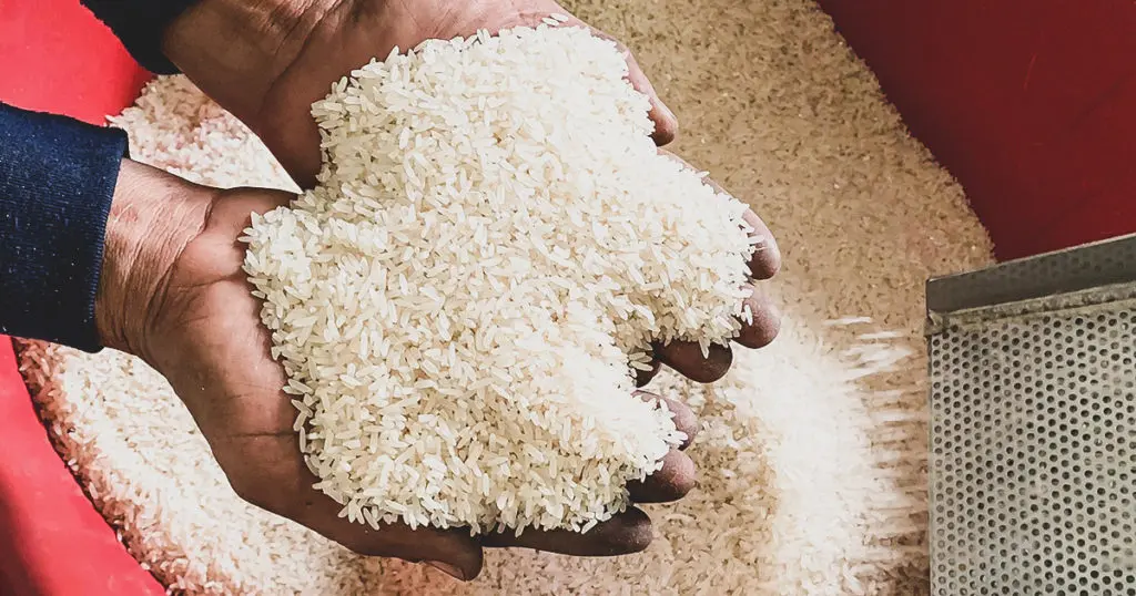 Le prix du riz en Algérie passe du simple au double, l’OAIC réagit